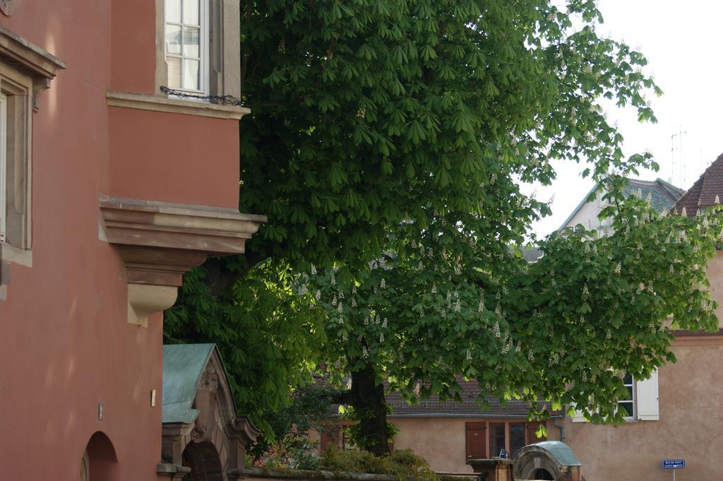 Quai 17 Maison D'Hotes Страсбург Екстер'єр фото